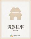 贵族往事