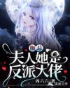 衡总,夫人她是反派大佬