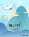 雁归吟