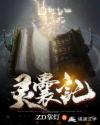 灵囊记