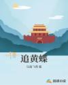 追黄蝶