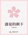 盛夏的剩下