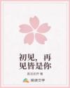 初见,再见皆是你