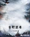 全职武者