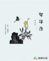 梦华录