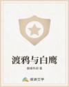 渡鸦与白鹰
