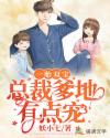 一胎双宝:总裁爹地有点宠