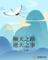 顺天之路逆天之事
