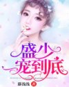 盛少,一宠到底