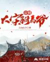 帝婿:大宋驸马爷