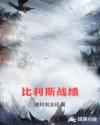 比利斯战绩