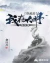 穿越后我在大明集龙珠