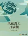 风花漫天月满楼