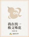 我在找一株文殊花
