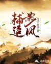 捕影追风